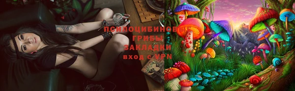 мдпв Армянск