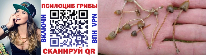 Галлюциногенные грибы мухоморы  где продают наркотики  Окуловка 